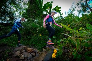 BIB: 132, 146
                            <button type="button" onclick="openModal(15974602)" class="btn btn-primary btn-sm float-right btn-popup" data-toggle="modal" data-target=".modal-high-quality">
                        <i class="fas fa-shopping-cart"></i> Add to Cart
                    </button>
                                            <button type="button" onclick="isThisMe(15974602, true)" class="btn btn-success btn-sm float-right btn-popup btn-isme hidden" data-toggle="tooltip" data-placement="bottom" title="นี่คือรูปของคุณใช่ไหม คลิกที่นี่เพื่อเอาเข้าอัลบั้ม">
                        <i class="fas fa-plus"></i> Add to album
                    </button>
                    <button type="button" onclick="isThisMe(15974602, false)" class="btn btn-warning btn-sm float-right btn-popup btn-isnotme hidden">
                        <i class="fas fa-ban"></i> Remove from album
                    </button>